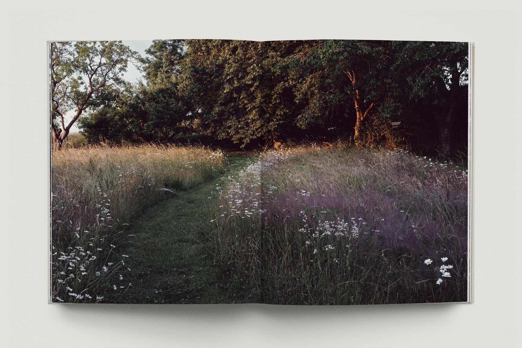 Zu den Wiesen: Vom naturnahen und artenreichen Gärtnern. Ein Gartenporträt. Das neue Buch zum Blog Krautkopf - Deutscher Gartenbuchpreis 2024