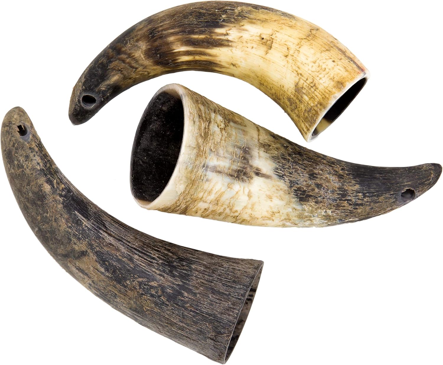 FullSize Water Buffalo Horns for Dogs AllNatural Long