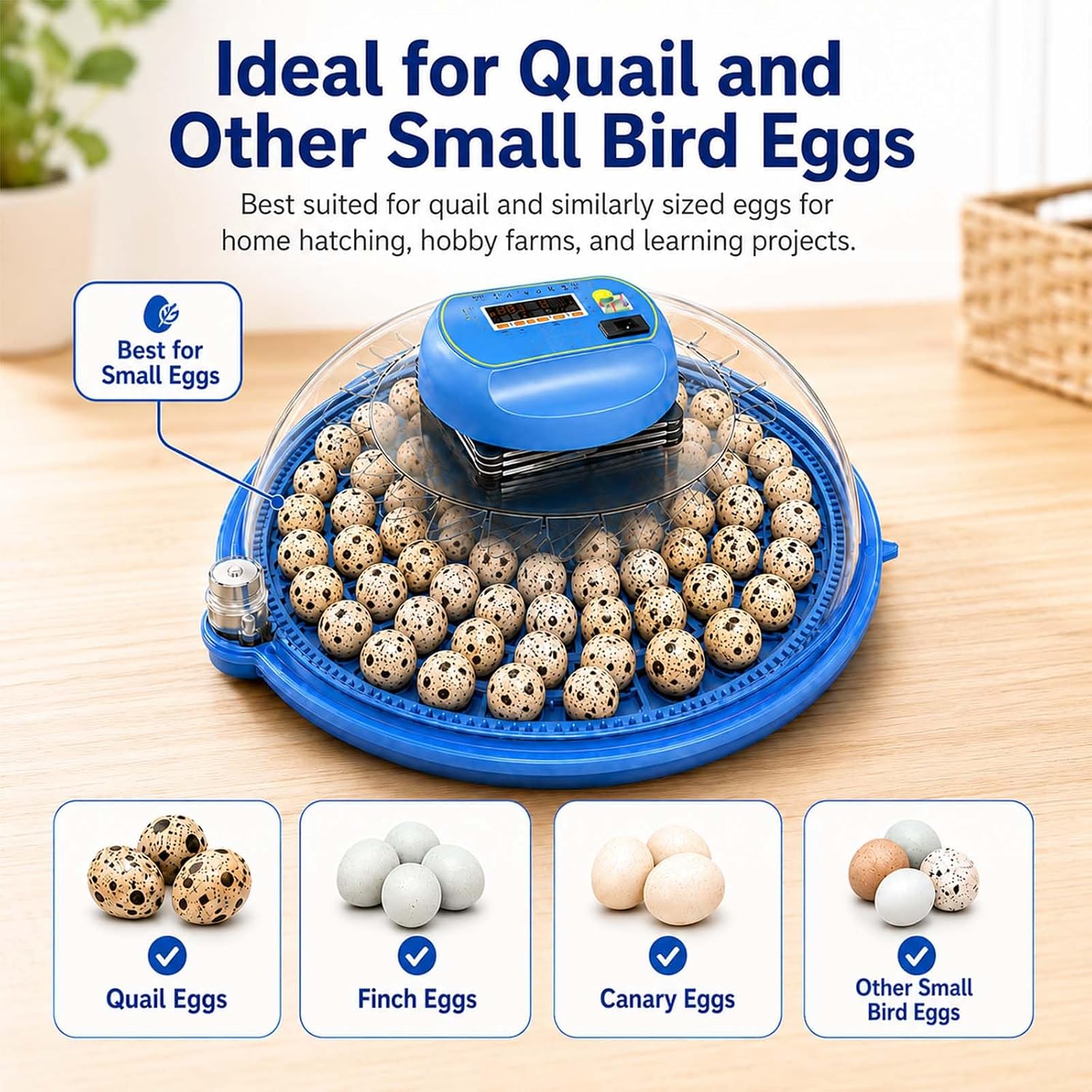 100 Eggs Quail Egg Incubator with Auto Turner and Humidity Control