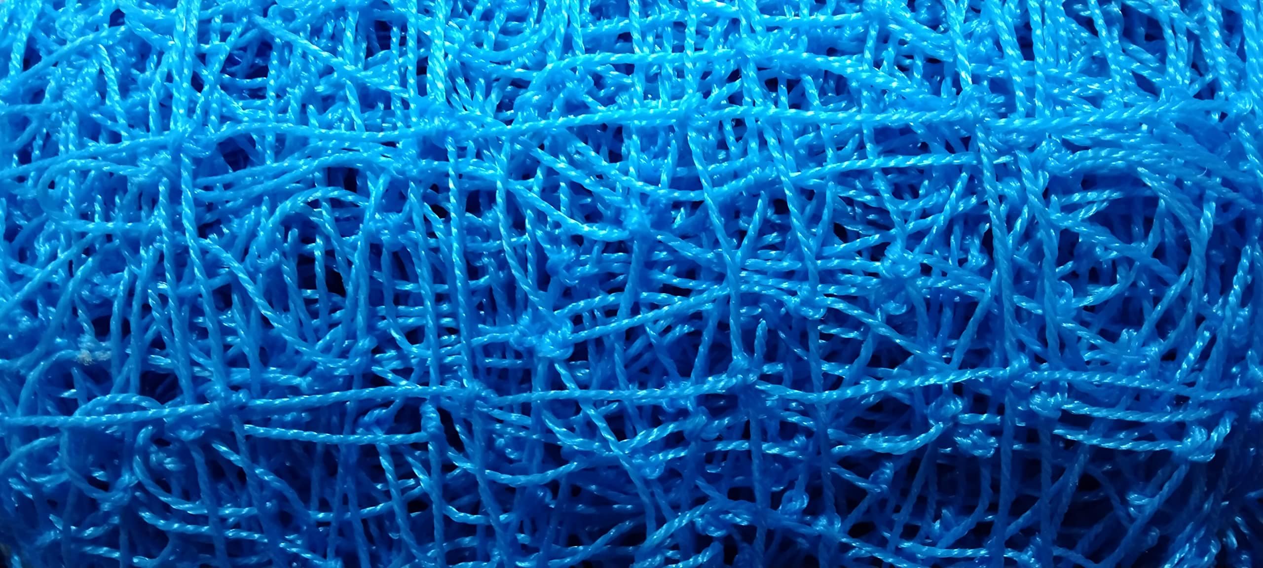 Azure Sports Nylon Nets Regular Practice/Training for Outdoor Sports Size 100x10 Feet Blue