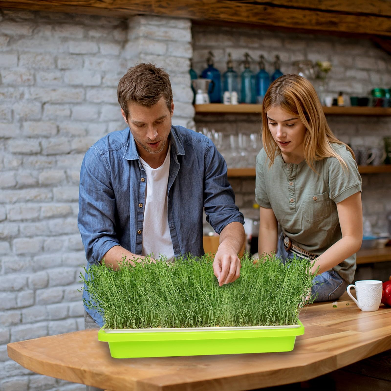 IcyFlame Seed Germination Tray - Start Seeds Easily -9 IcyFlame Seed Germination Tray - Start Seeds Easily -9