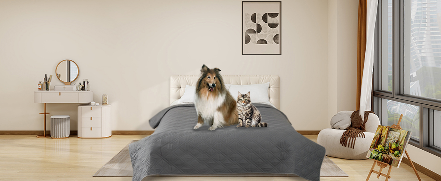 Copriletto Impermeabile In Velluto Per Cani – Fodera Con Elastico, Morbida E Antiscivolo, Lavabile In Lavatrice (Grigio, Taglia S-XL)