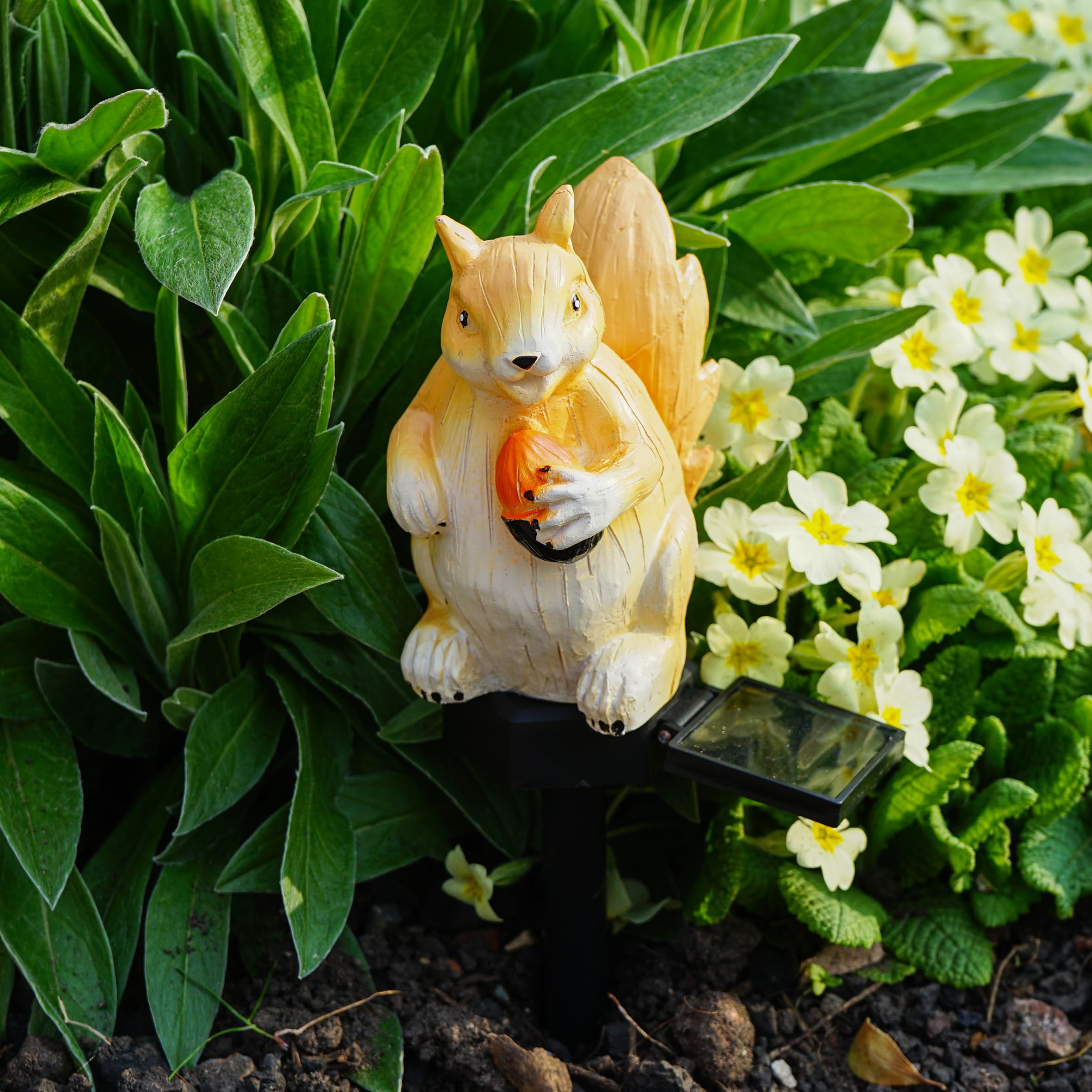 Bestfor Buying LED Solar Powered Squirrel Garden Stake Light