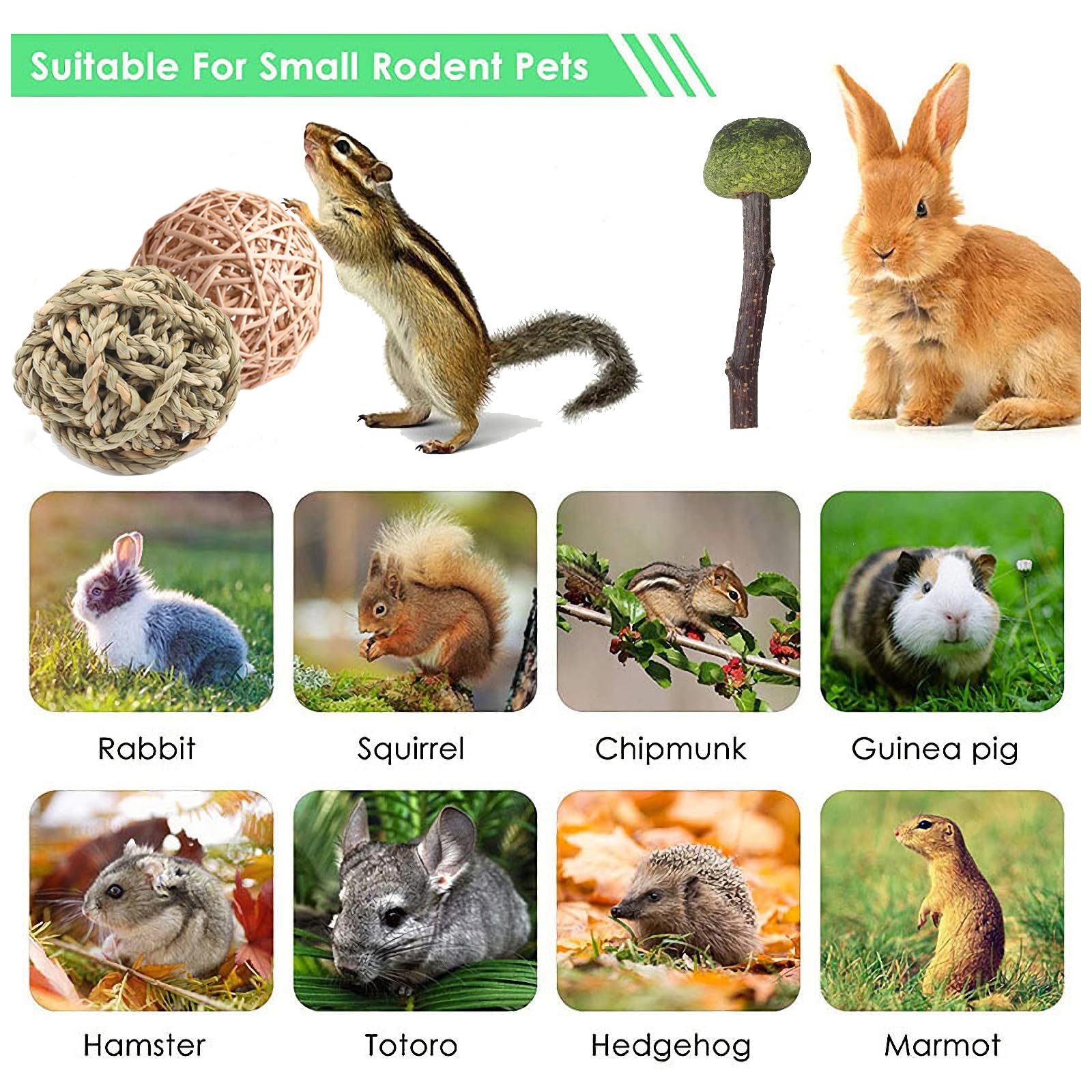 Naturezhen Giocattoli Masticabili Per Conigli - 25 Pezzi Naturali Per Salute Dentale E Divertimento - Foto 5