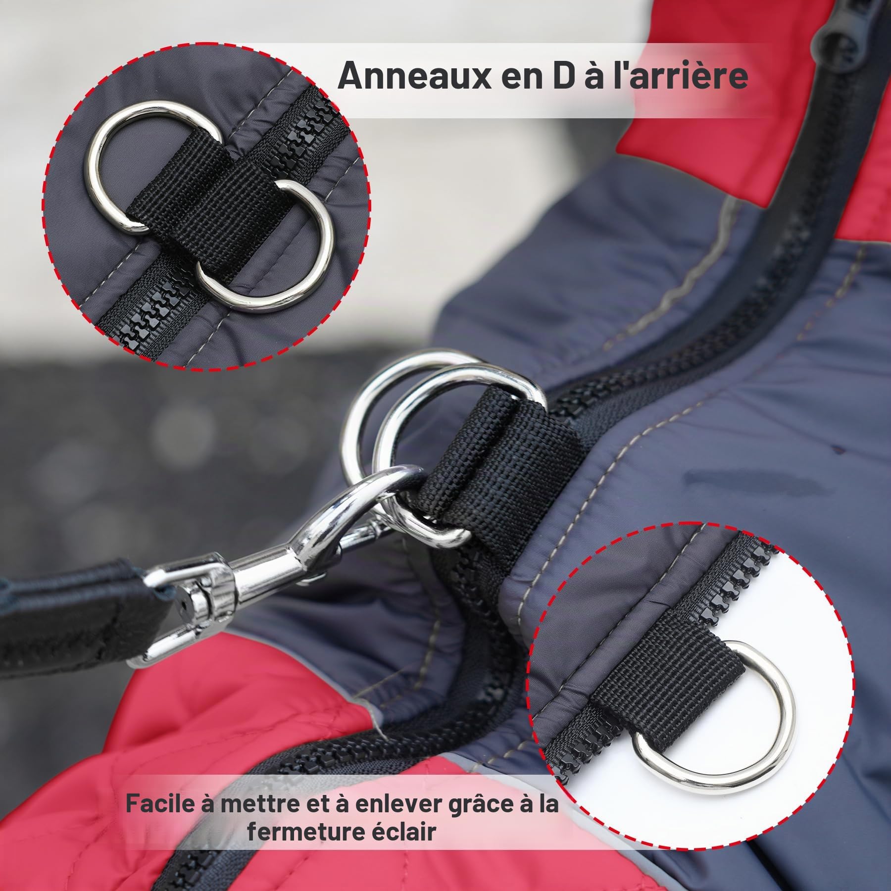 JoyDaog Manteau chaud en polaire pour petits chiens, veste imperméable avec anneaux en D, pour les hivers froids, rouge, taille XS