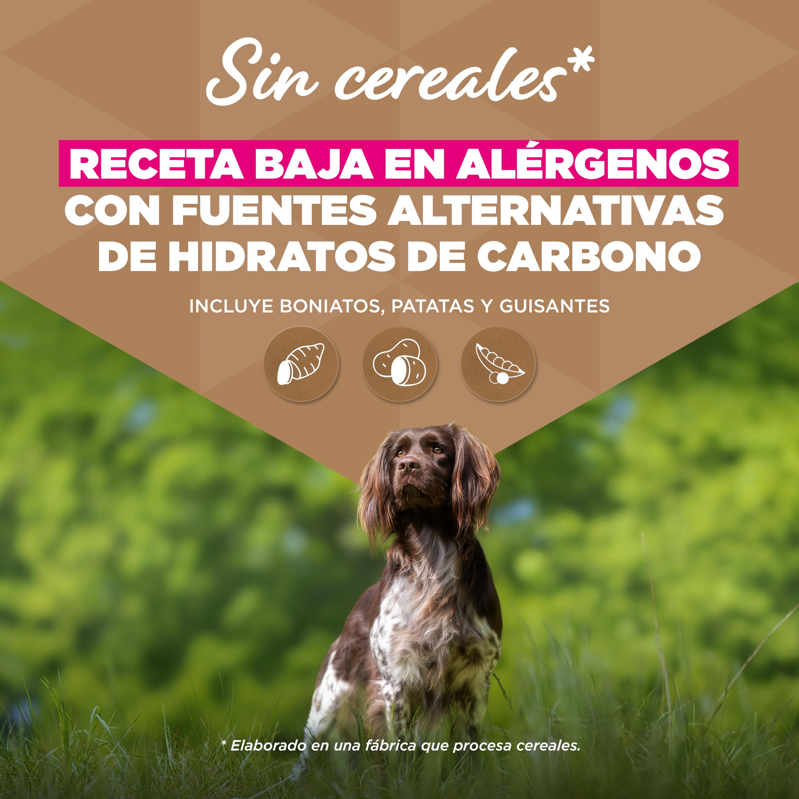 Eukanuba, alimento para Perros sin Cereales con Pesco para Razas pequeñas y Medianas - Alimento seco Premium sin Cereales para Perros Adultos, 12 kg