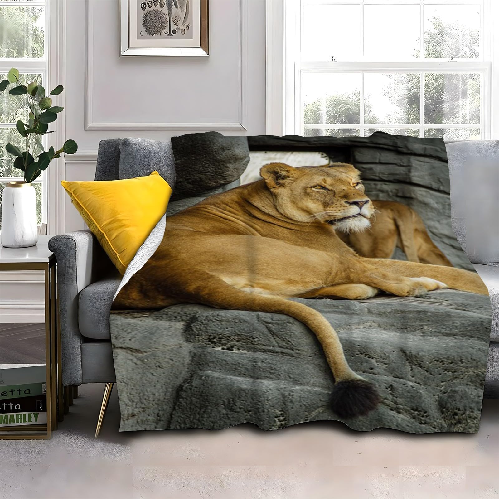LLSZAHD Animals Blanket, Brown Lion Throw Blanket, Thick Warm Fuzzy Washable Flannel Blanket for Sofa, Chair, Car, Lap, Pets, excellent gift (30"x40")