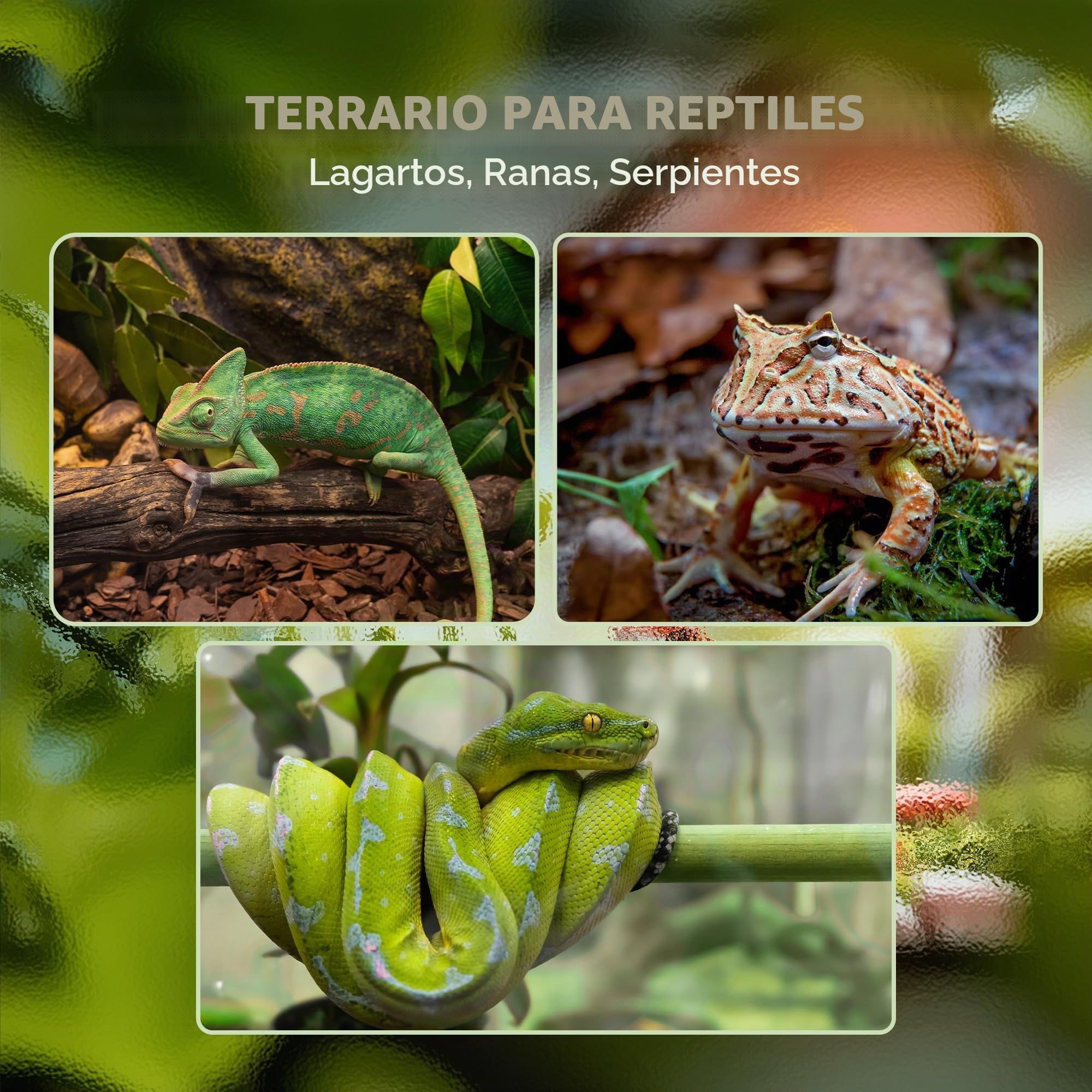 PawHut - Terrario de Cristal para Reptiles Vivarium 12 L de cría de Reptiles con Tapa de Malla metálica, para Ranas, Serpientes, Tortugas, 20 x 20 x 30 cm, Color Negro
