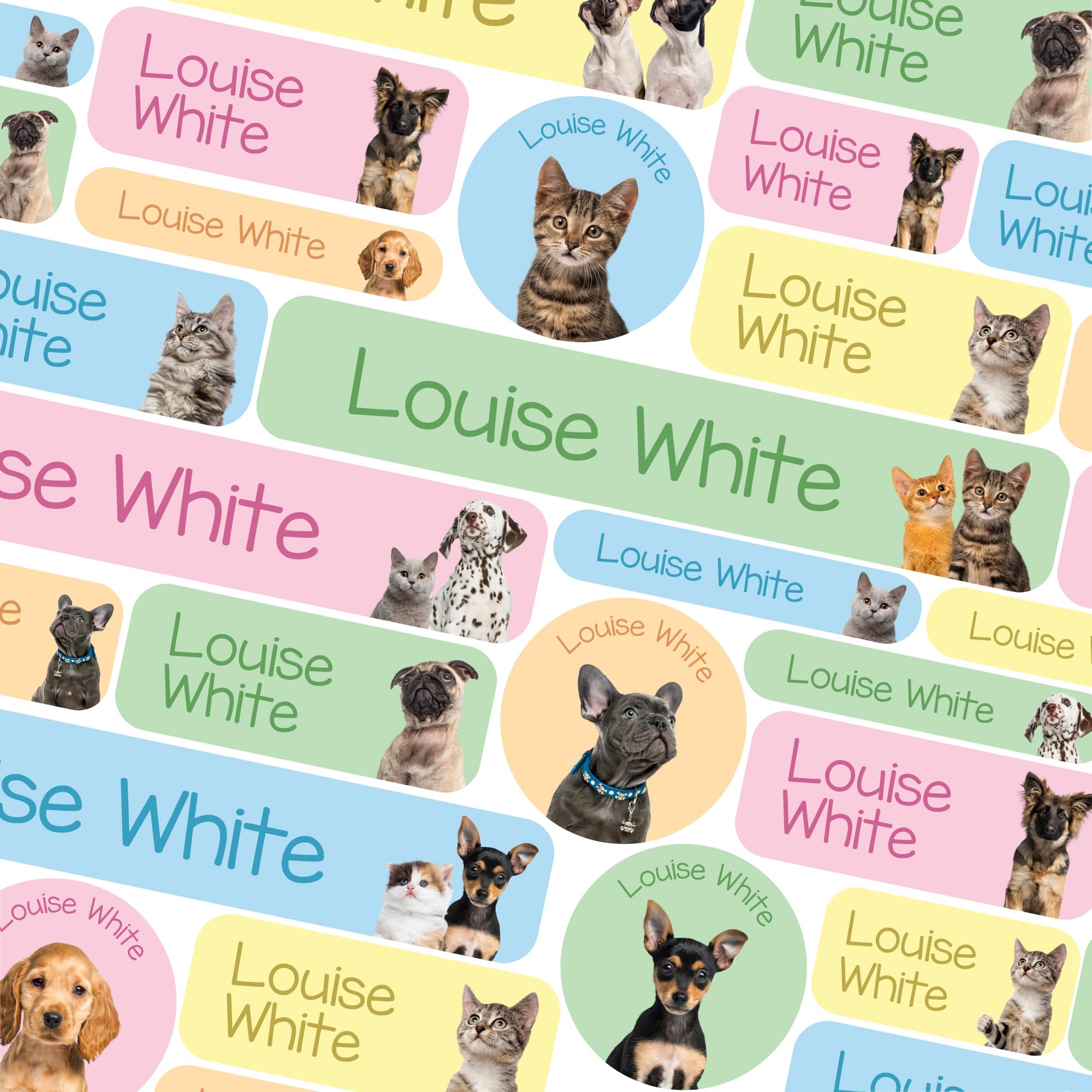 123 Name Labels for Kids No Iron Name Tags for Clothes Name Stickers for Water Bottles, School Uniform, School, Nursery, Care Homes, Washable and Dishwasher Safe for Children (Puppies and Kittens)