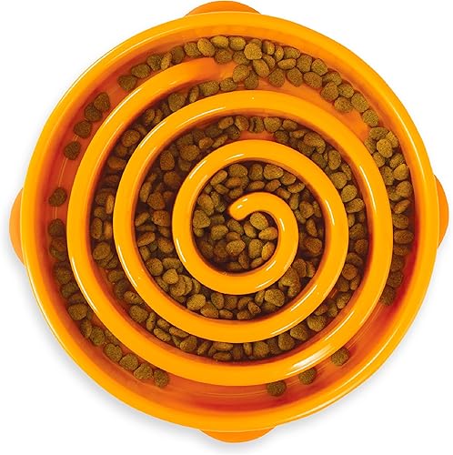 Outward Hound Fun Feeder Slo Bowl Outward Hound Fun Feeder Slo Bowl