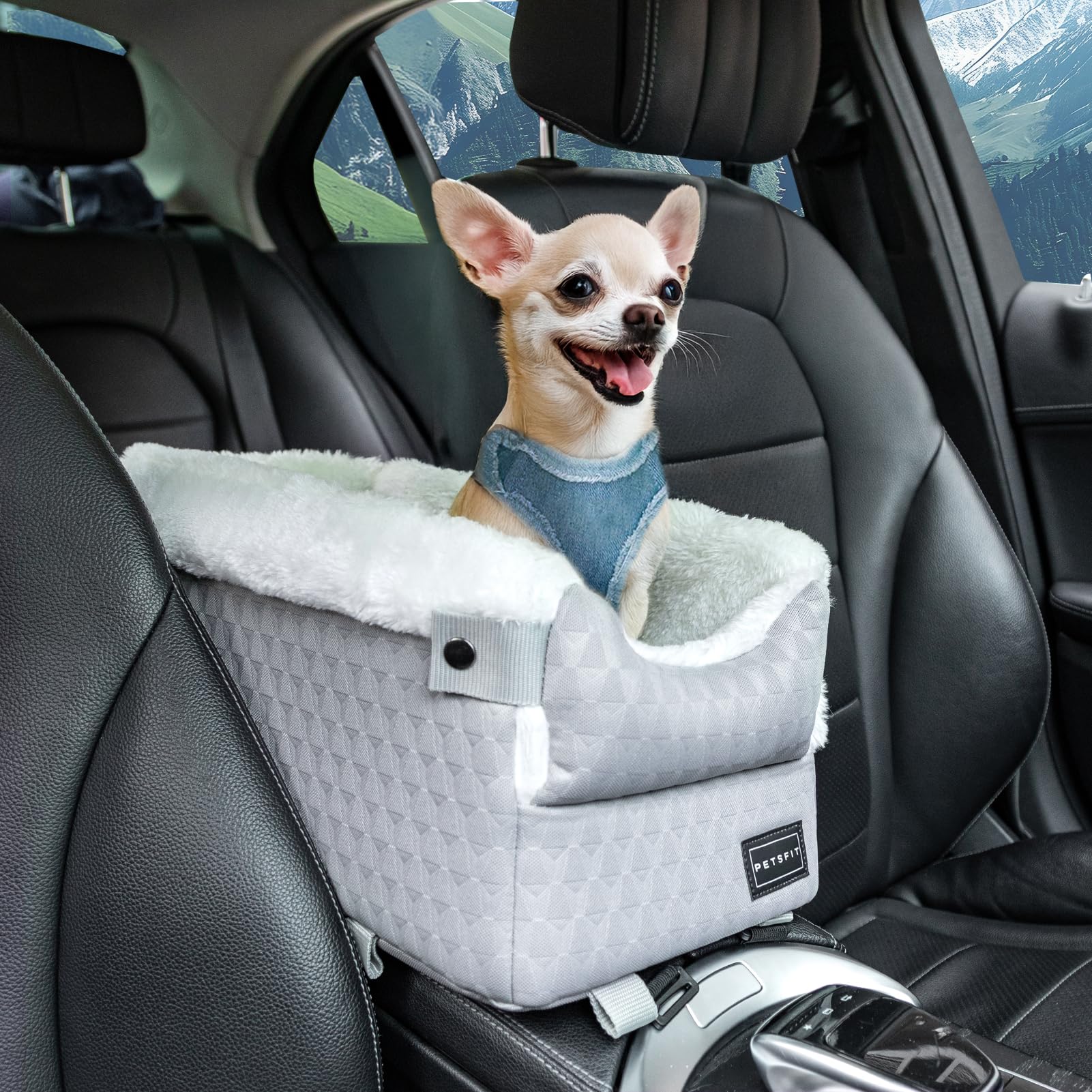 – Center Console Dog Car Seat - Secure Safety Hooks & Upgraded Tethers, Removable Washable Cushion for Small Pets up to 6kg (Light Grey)