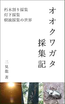 W*a様 オオクワガタ樹液採集個体B品標本3頭セット 山梨県韮崎市穂坂町三ッ澤産 WILD 国産オオクワガタ成虫ペア