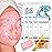 Peel-Off Jelly Mask Premium Modeling Rubber Mask Spa Set - 10 Treatments (24k Gold, Lavender, Kiwi, Peppermint, Egyptian Rose, Matcha, Chamomile, Tea tree, Jazmine)