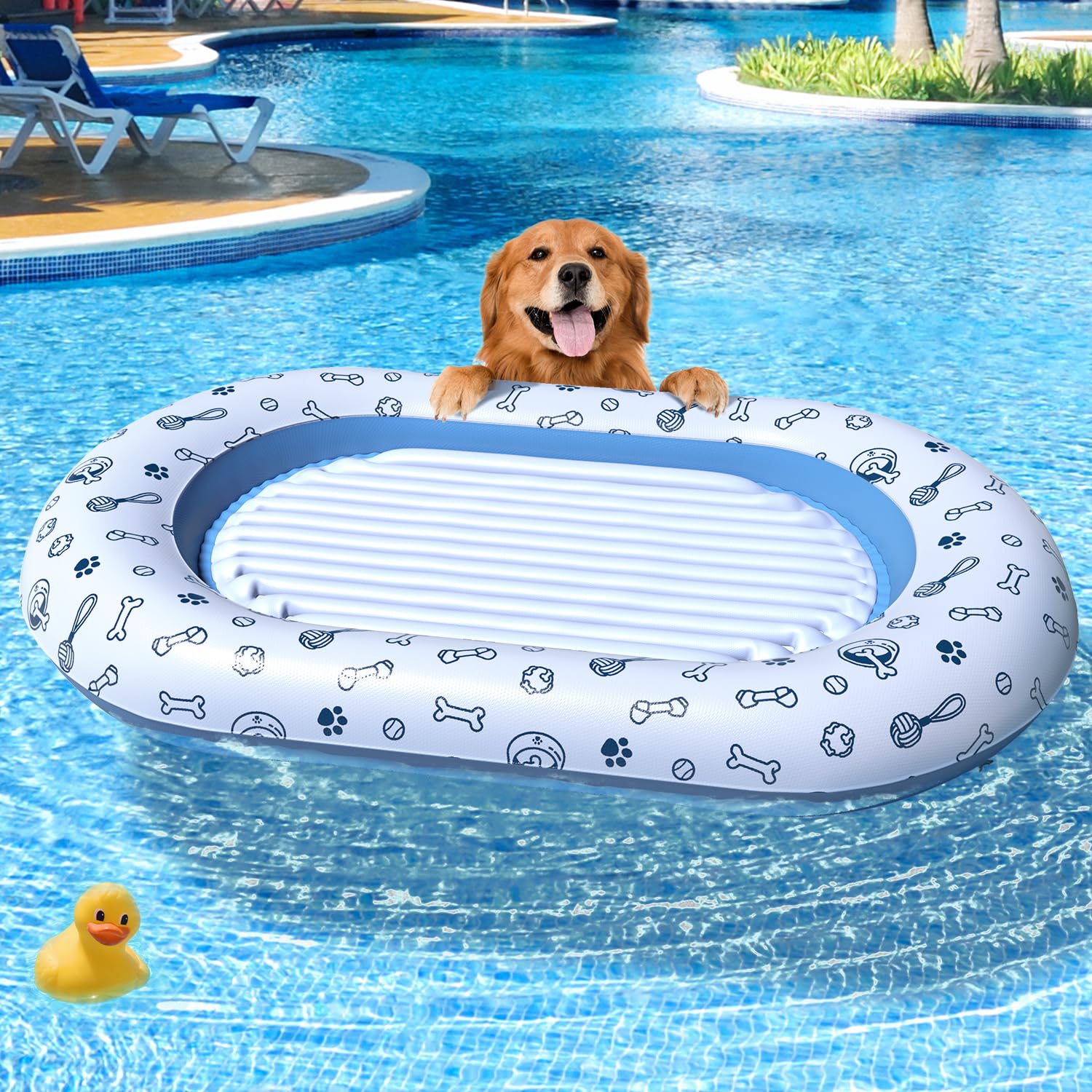 Amazon.co.jp: Zoostliss 大型犬用浮き輪 プール用 - 耐久性のある