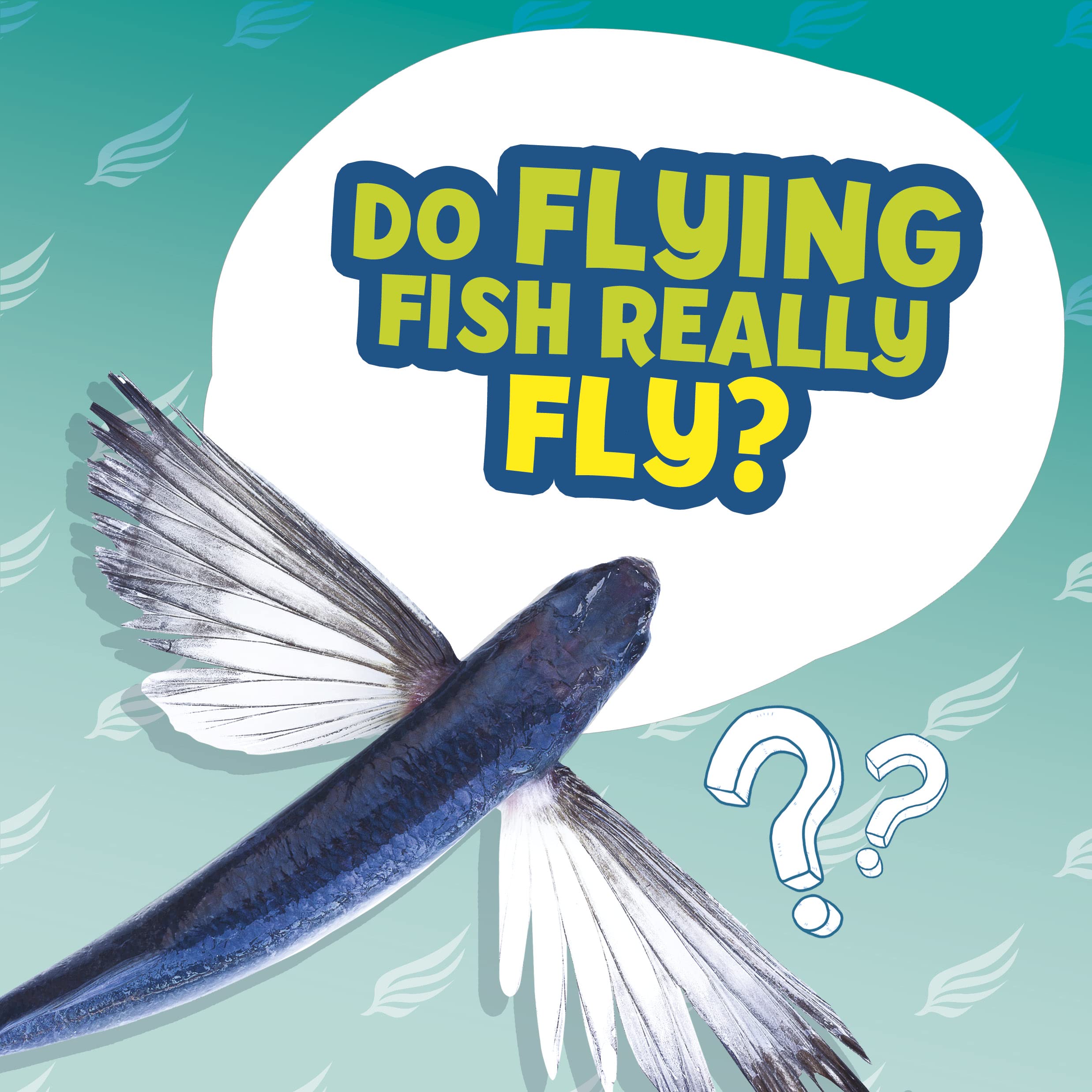 Do Flying Fish Really Fly? (Amazing Animal Q&As)
