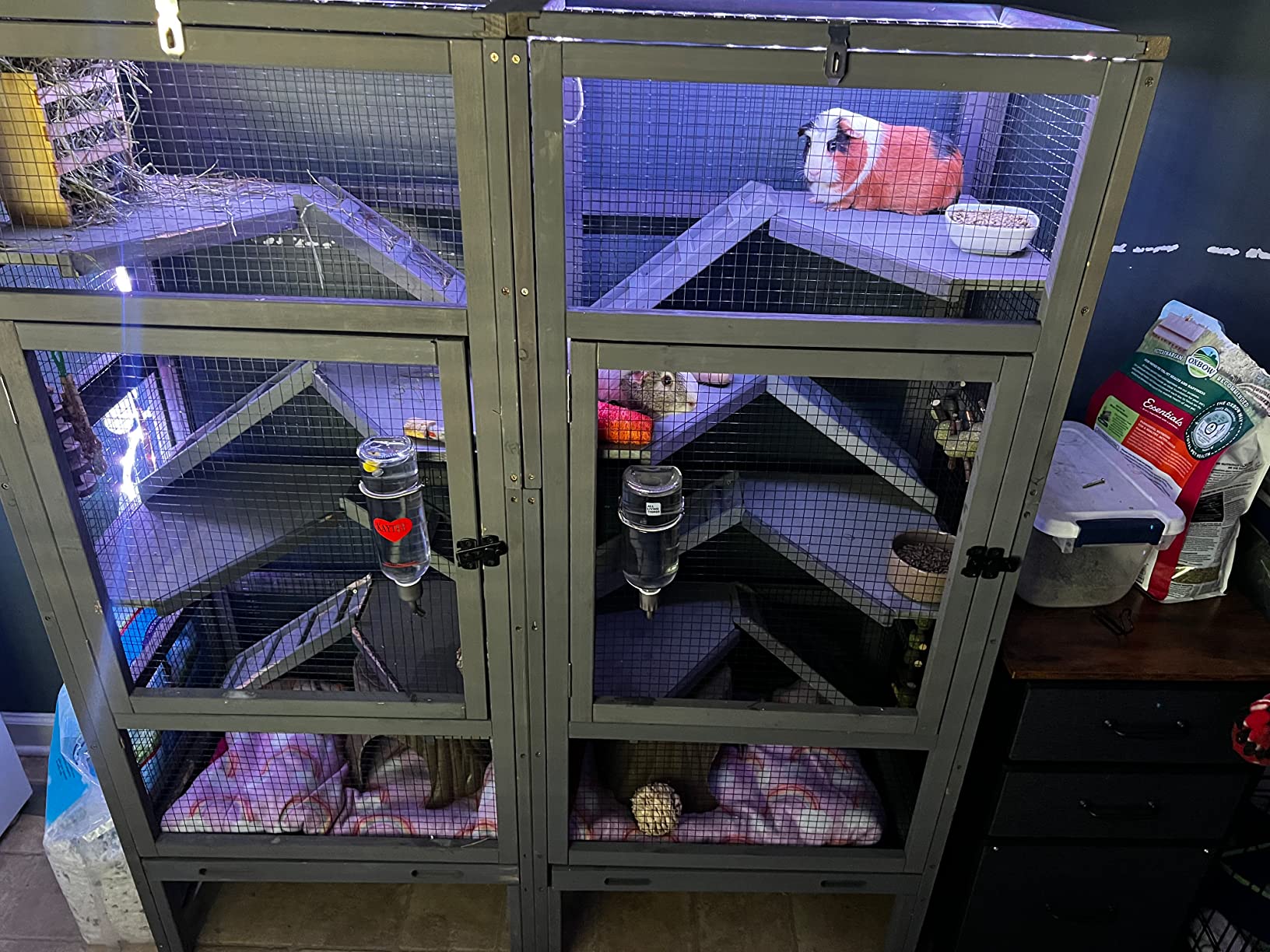 40/mo Finance Deluxe Chinchilla Cage Critter Nation, Homes for Pets