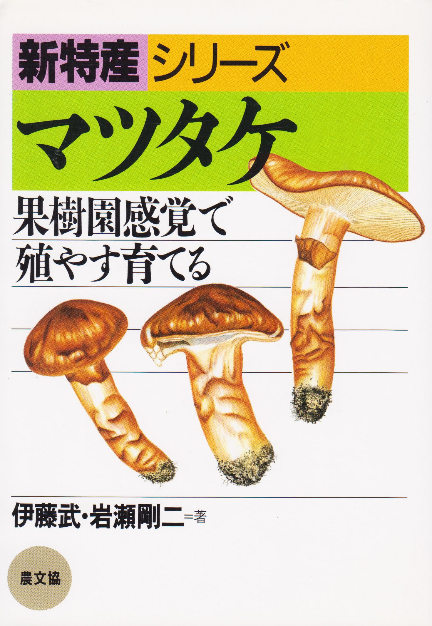 81mgzN-p9ML.jpg
