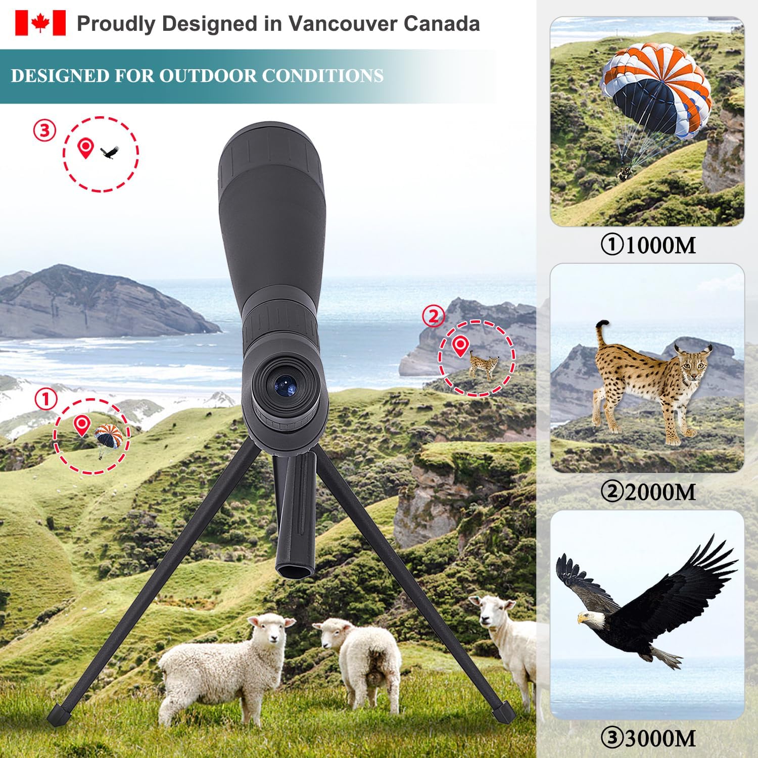 Fetch Falcon 20-60X60 FMC HD Spotting Scopes Long Range Spotting with Metal Tripod，Phone Holder and Carry Bag