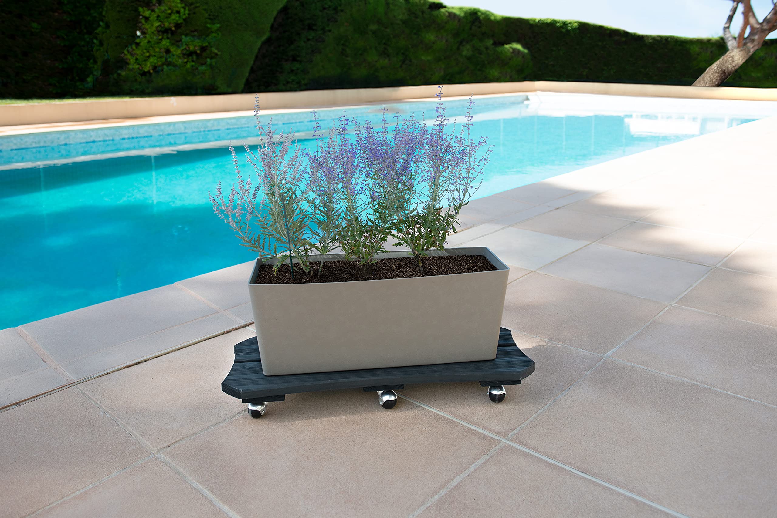 Louis Moulin Roule-Plantes Bois spécial bac 70x30 cm - Anthracite - Origine France Garantie