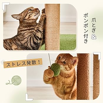 yama@猫飼っています　　修理、連絡ページ ○猫脱走警戒中／猫飛び出し注意（ドアの開閉注意）2枚