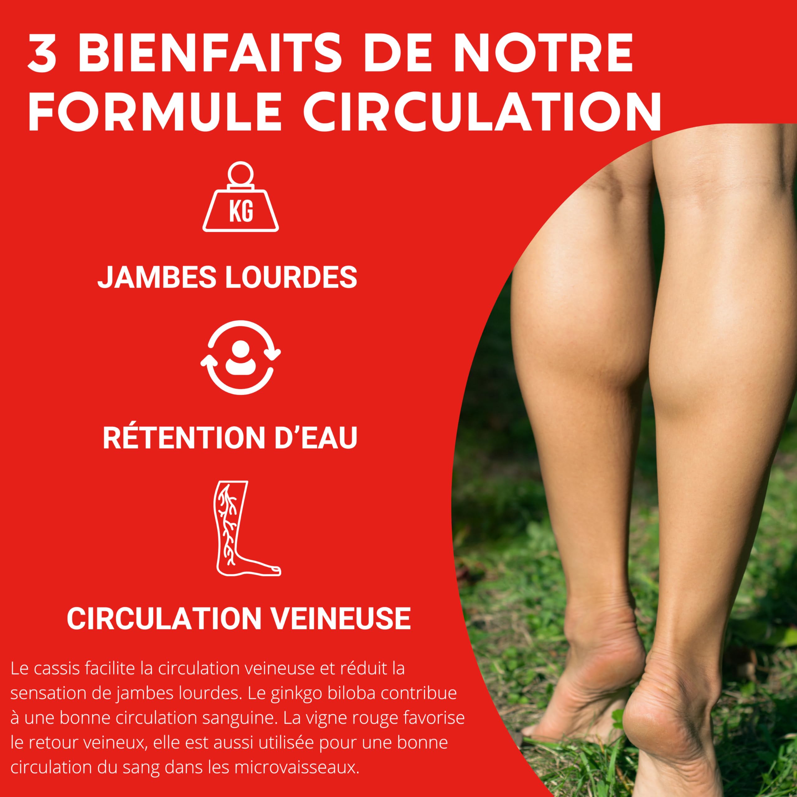 FORMULE CIRCULATION Sanguine, veineuse | Jambes lourdes, Rétention d'eau | Vigne Rouge (hautement dosé), Cassis, Gingko Biloba | 60 gélules | Complement alimentaire