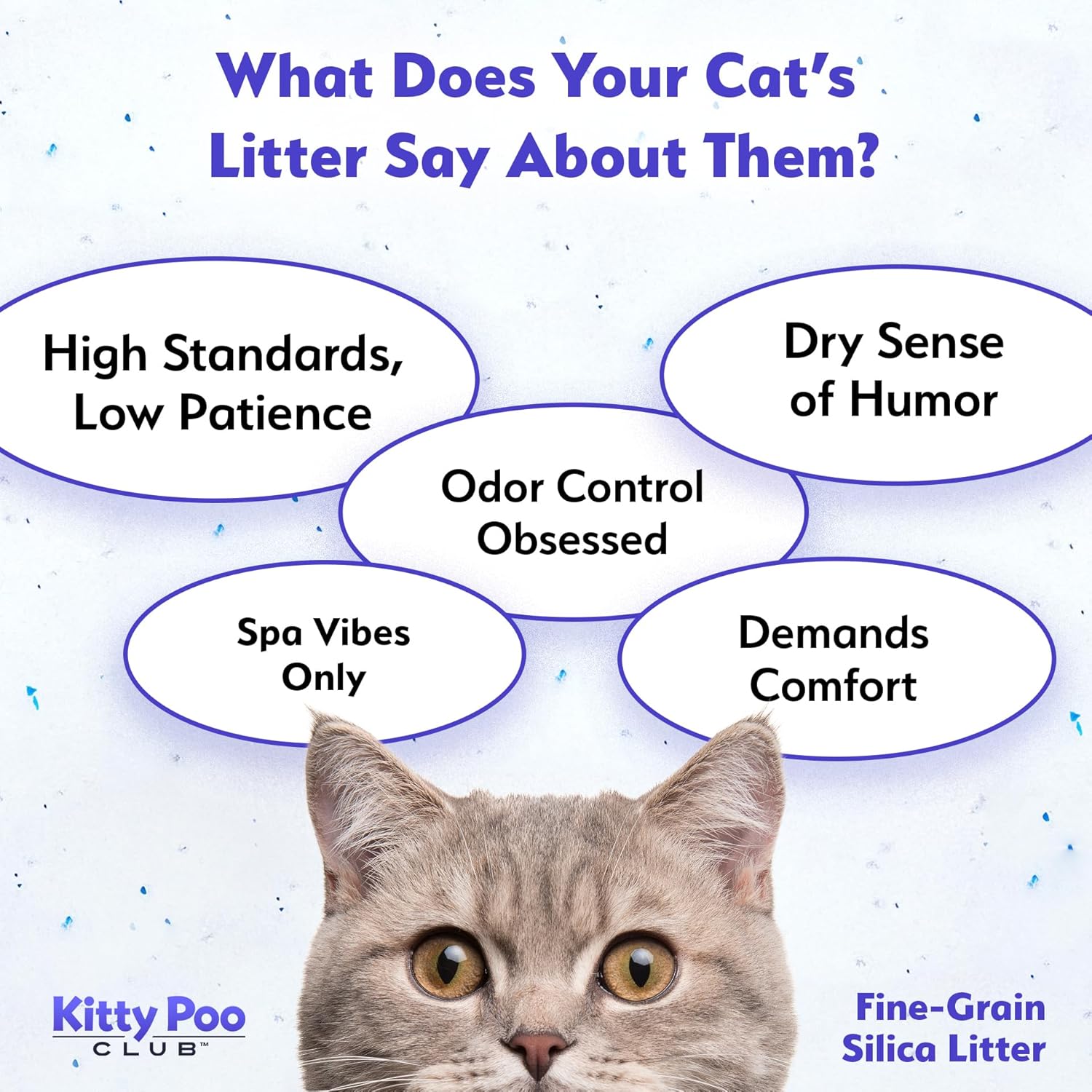 Fine-Grain Silica Cat Litter – Ultra Absorbent Crystal Litter for Cats, Low Dust, Long-Lasting Odor Control, Fast Drying, Lightweight Bag