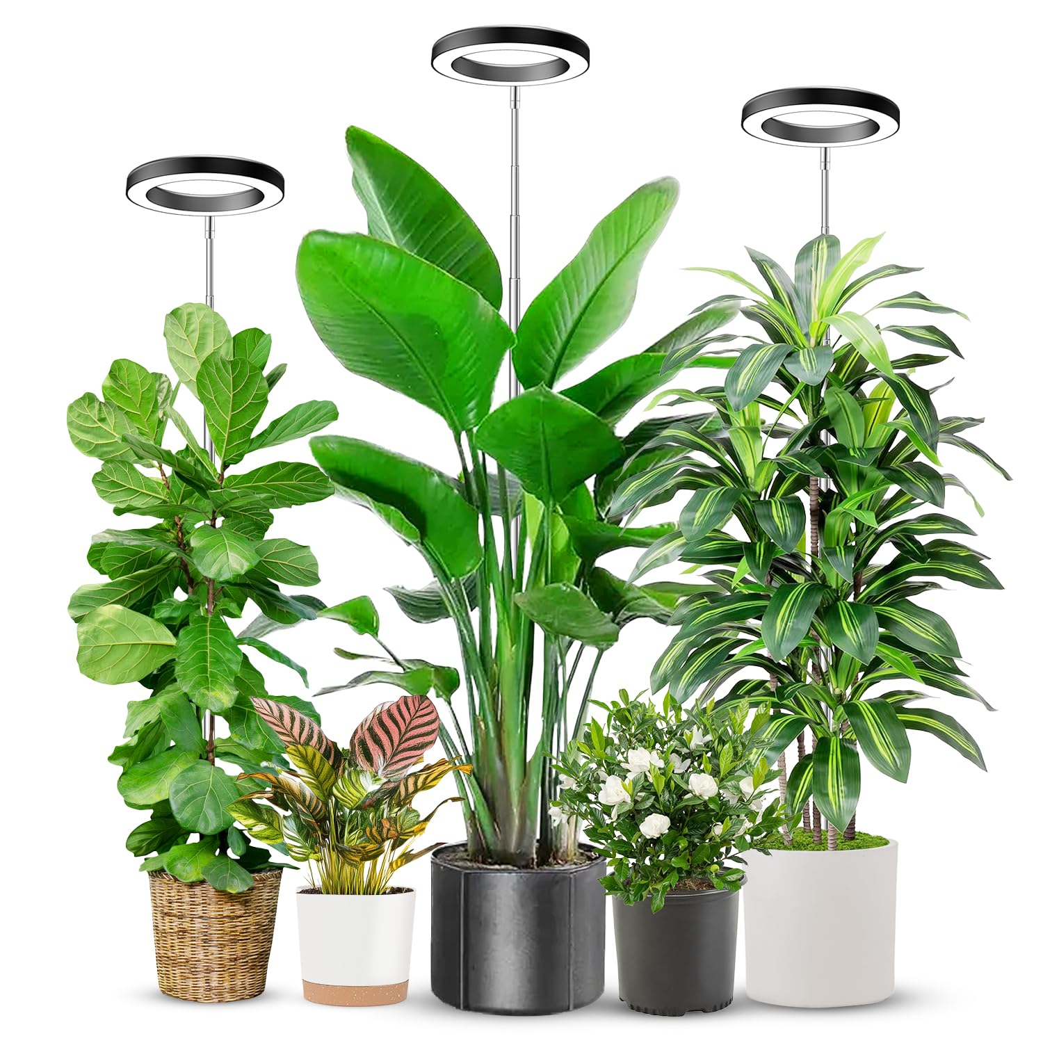 Aokrean 6.3in Grow Light, Full Spectrum Plant Light for Indoor Plants 5V/3A