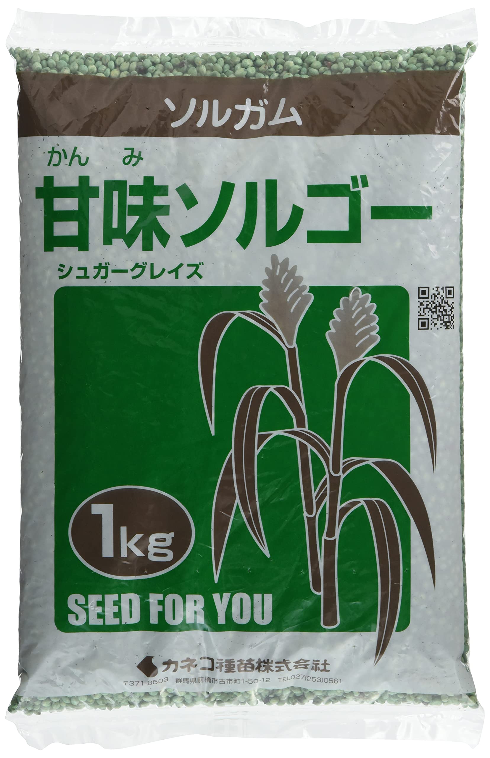 Amazon | 【種子・タネ】ソルガム 甘味ソルゴー 1kg カネコ種苗 SH | 草