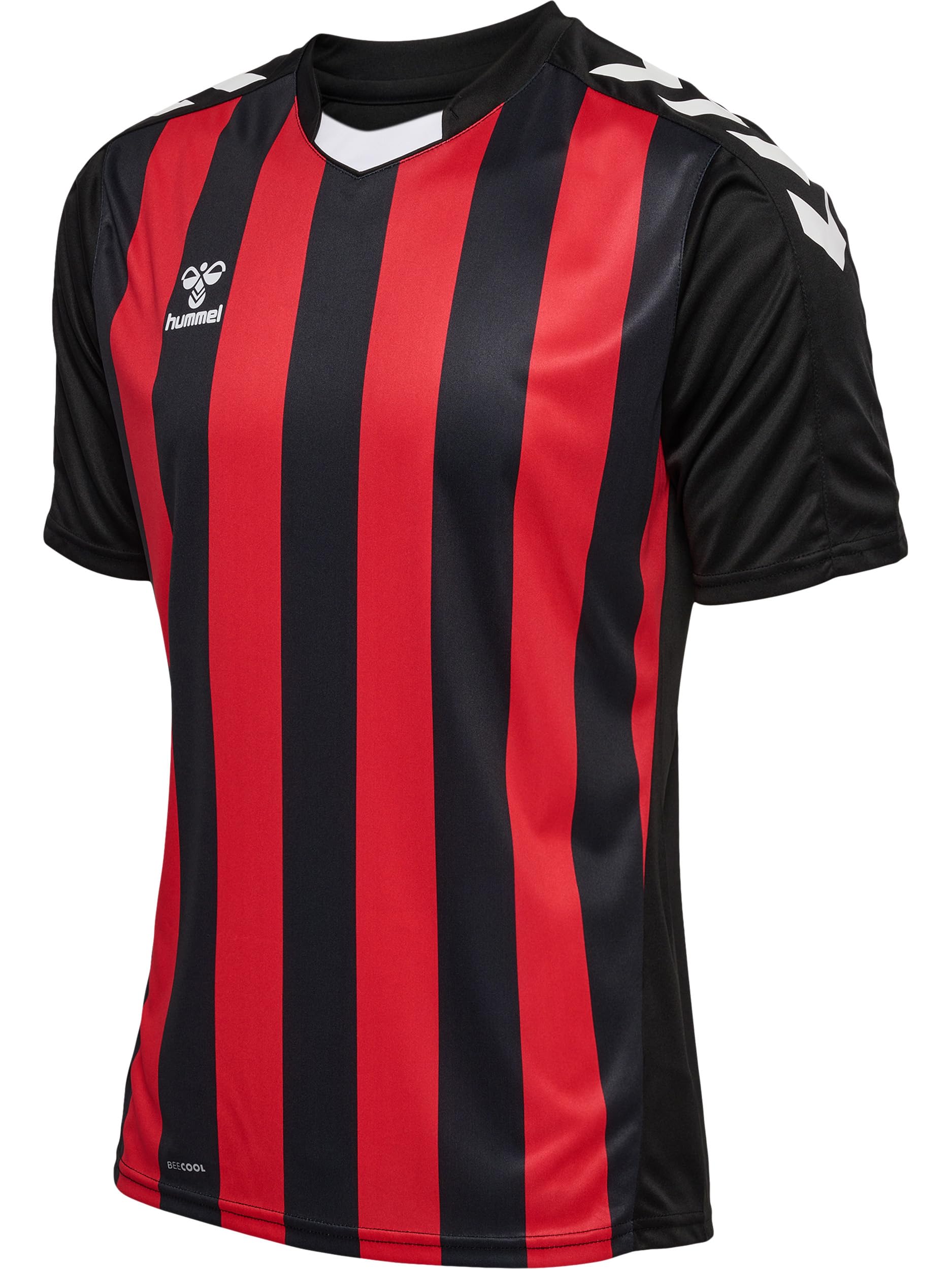 hummel T-shirt Mężczyźni Hmlcore Xk Striped Jersey S/S