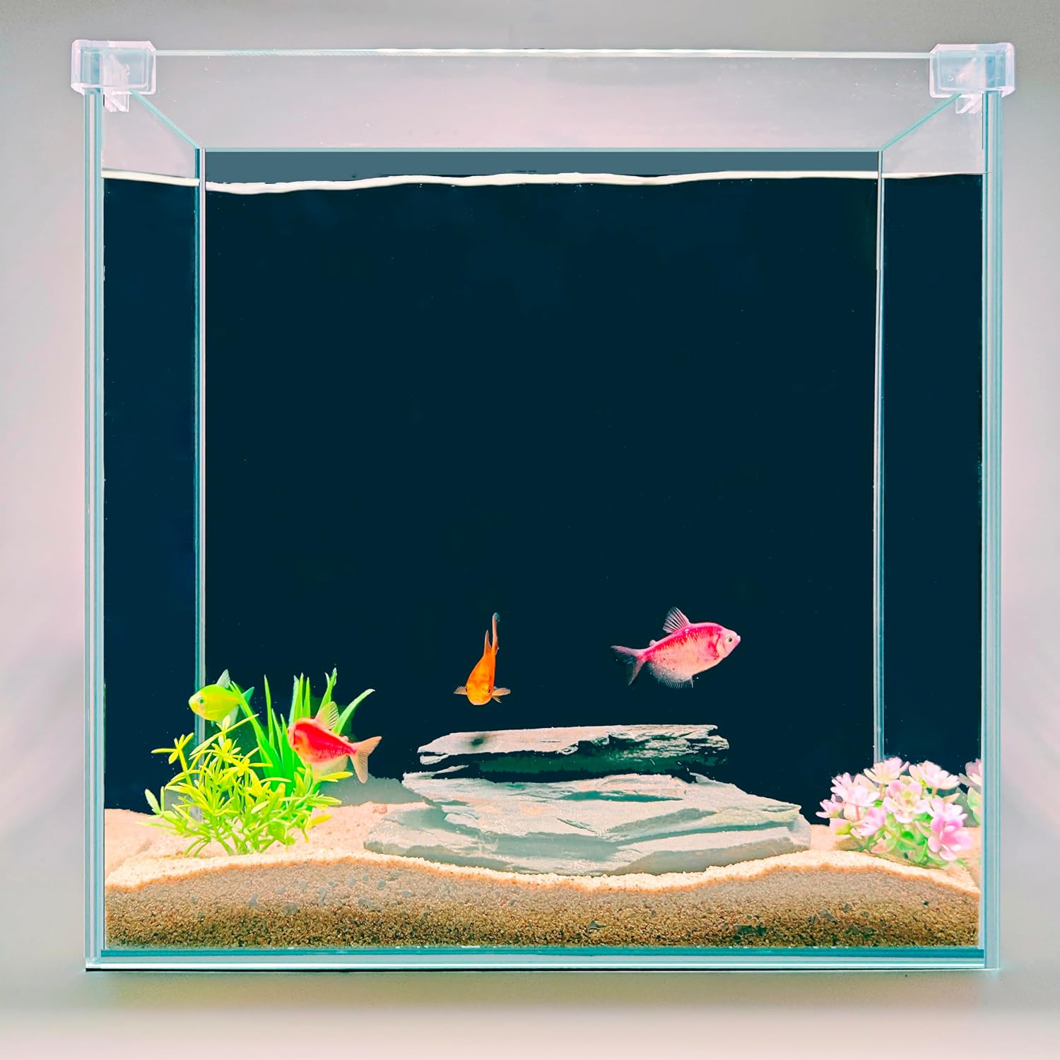High-Clarity 3.5 Gallon Fish Tank 30 * 15 * 30CM - Low Iron Glass Aquarium with Space-Saving Thin & Narrow Designs | Includes Non-Slip Mat, Corner Guards + Decor | Ideal for Desktop/Bathroom