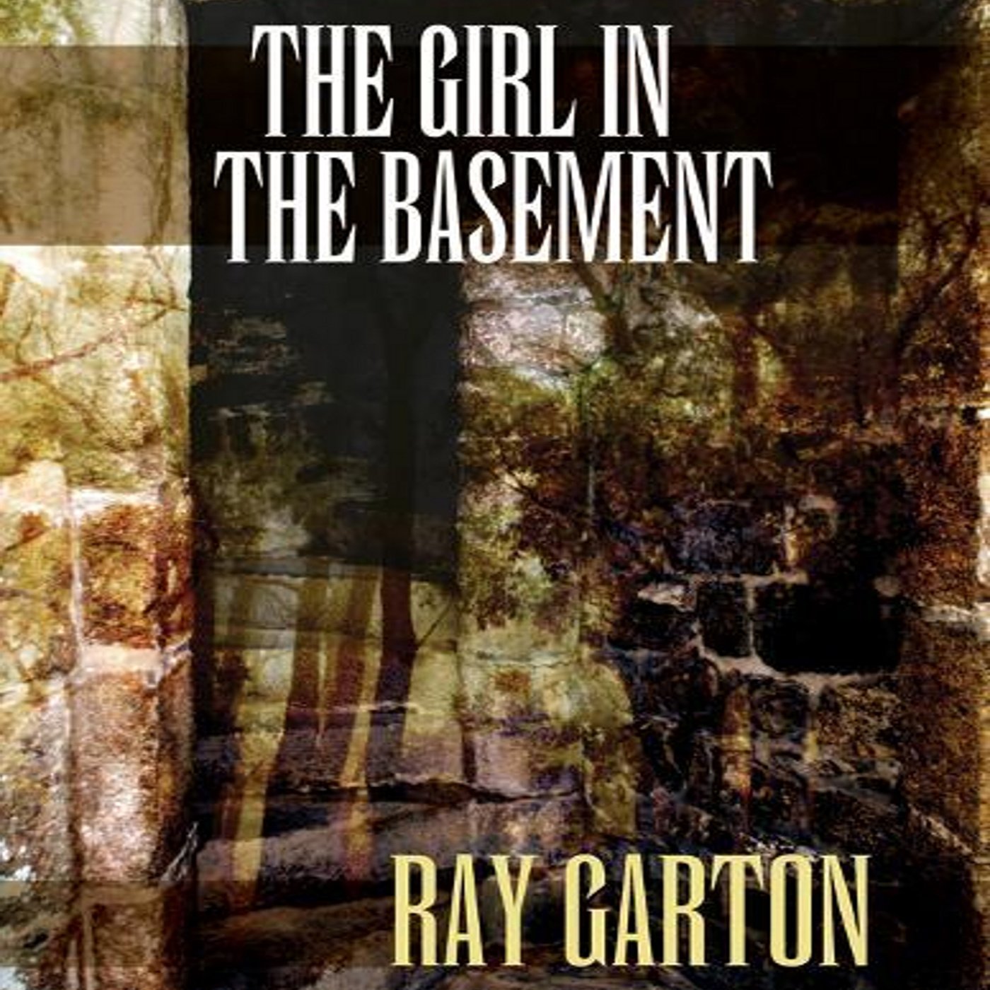 The Girl in the Basement