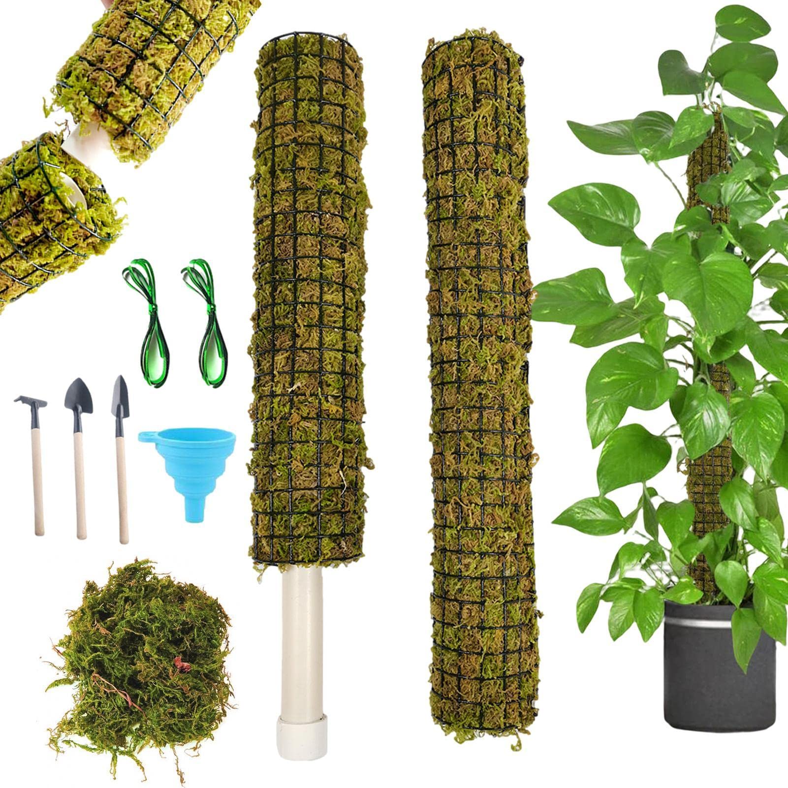 Moosstangen für Kletterpflanzen - Stapelbare selbstbewässernde Moosstäbe für Zimmerpflanzen - Monstera Plant Support zur Bereitstellung Einer hervorragenden Kletterumgebung für Pflanzen