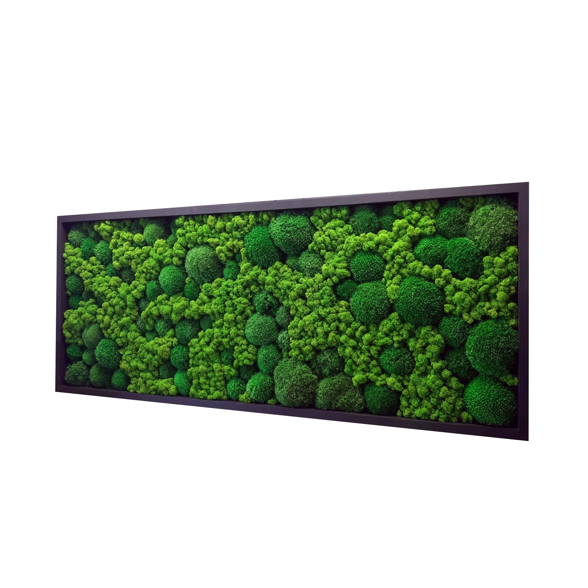 Cadre mural mousse stabilisée rectangulaire – décoration murale végétale naturelle intérieur – tableau végétal sans entretien pour salon bureau entrée – cadre métal (marron, 60 x 30 cm)
