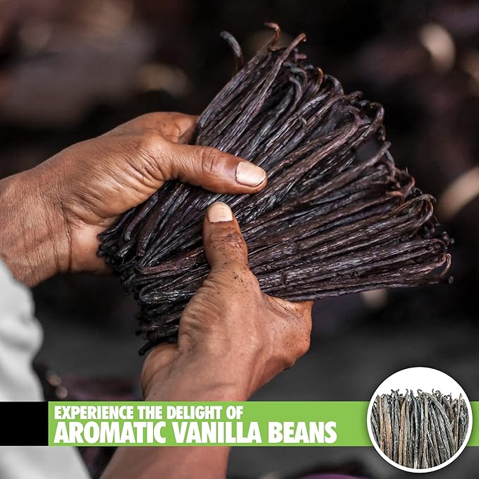 Vainilla Orgánica de Madagascar Grado B 26 Unidades 11-14 cm miniatura 5
