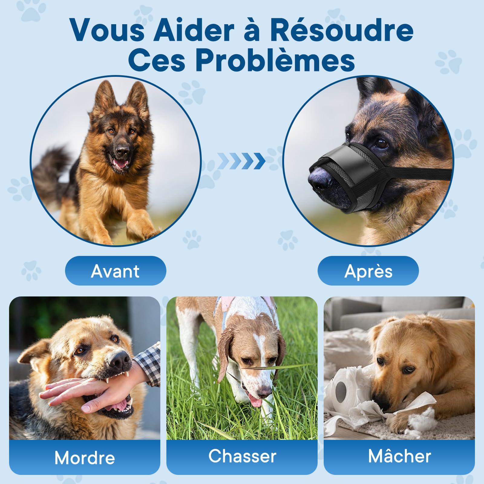 Museliere pour Chien, Ajustable pour Muselière Chien, Anti-aboiement et Mastication, Muselière en Maille à Air Doux pour l'entraînement au toilettage (M)