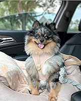 Vista 4 de Adjustable Dog Harness No Pull Beige Gold Neoprene Leather Design Sport Small Medium Large Dog Cat Breathable Lightweight Pet Cat Soft Padded Gift