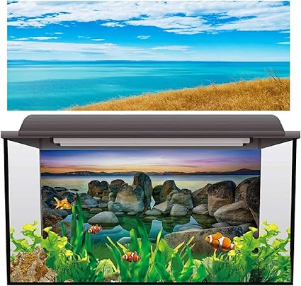 Amazon Co Jp 水族館の背景ステッカー 青い空の壁紙水槽の装飾的な写真水中の背景画像の装飾 48 X24 Ns 48 X24 122x60cm ペット用品