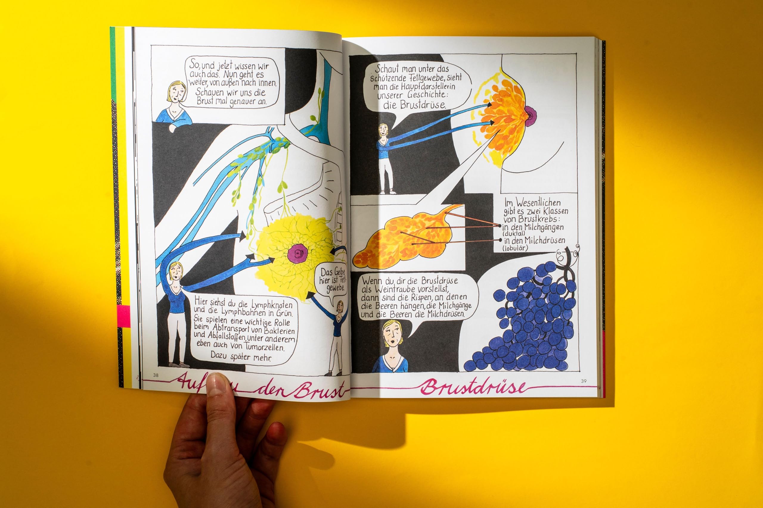 Das Ende der Unversehrtheit: Eine Graphic Novel über Brustkrebs (Graphic Gyn)