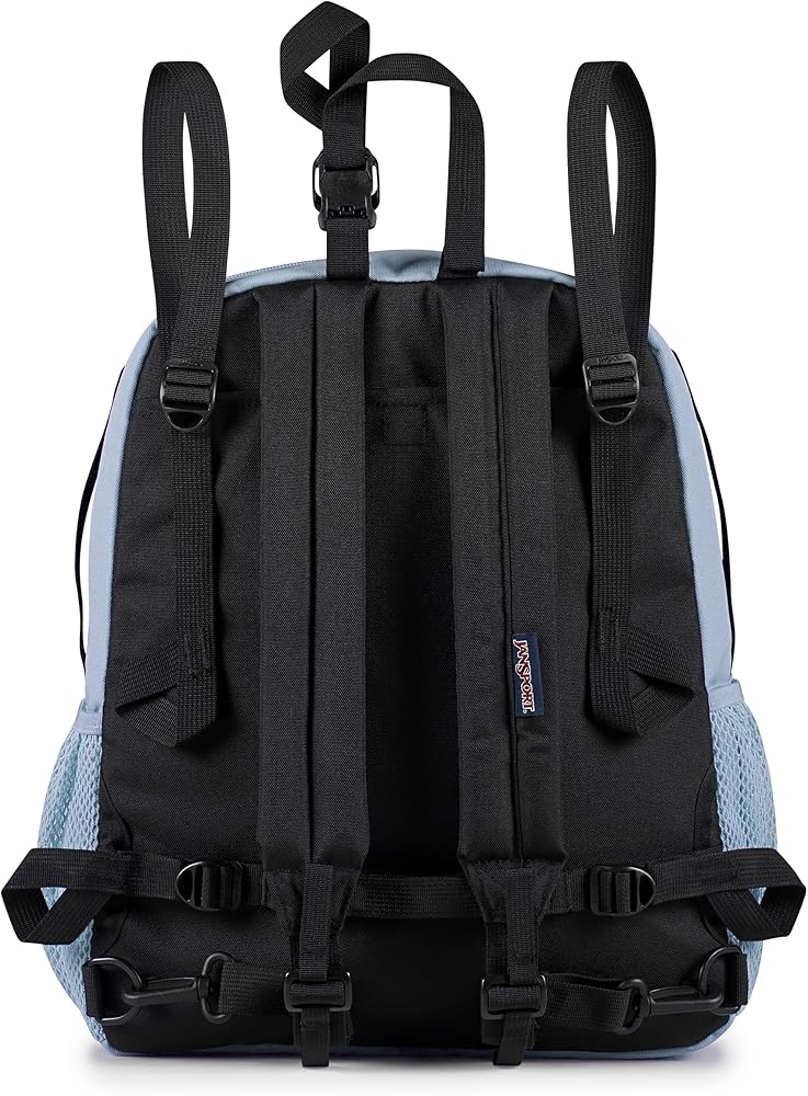 Amazon.com: JanSport Central Adaptive Backpack – Wheelchair