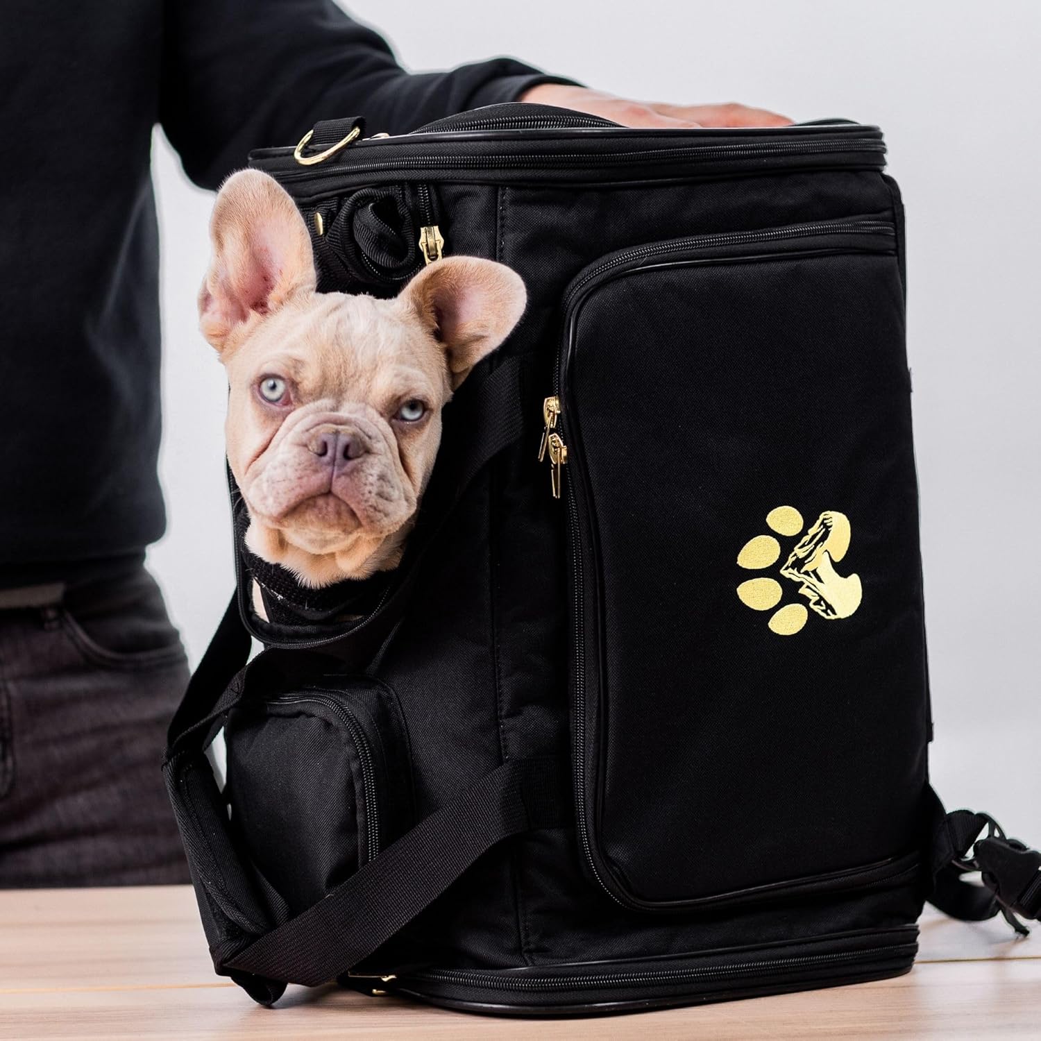 Travel Smart: The Stylish Pet Carrier with Wheels for Comfortable Journeys