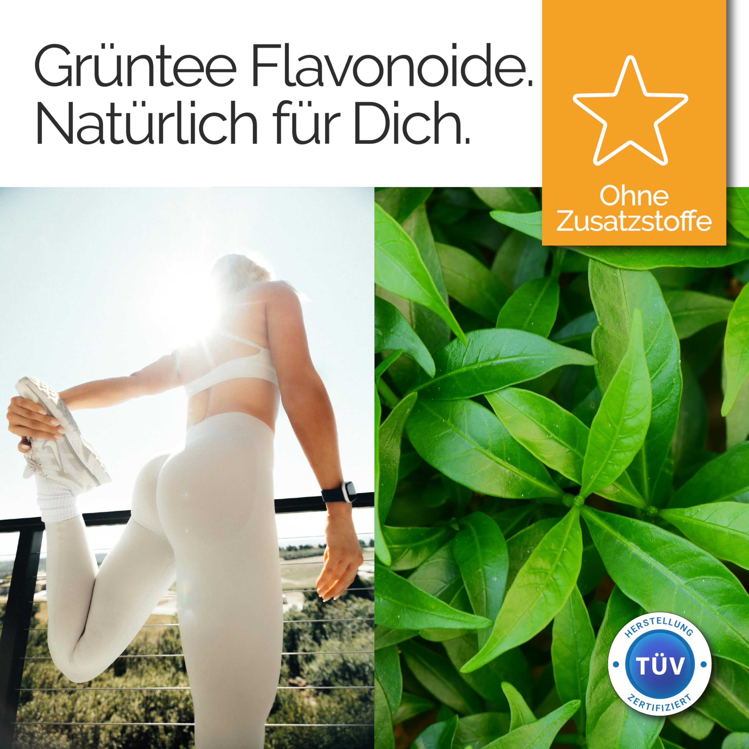 TAVI® Grüntee Flavonoide • 90 Kapseln • Mit EGCG Epicatechine