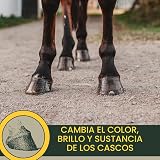 Ver la foto 6