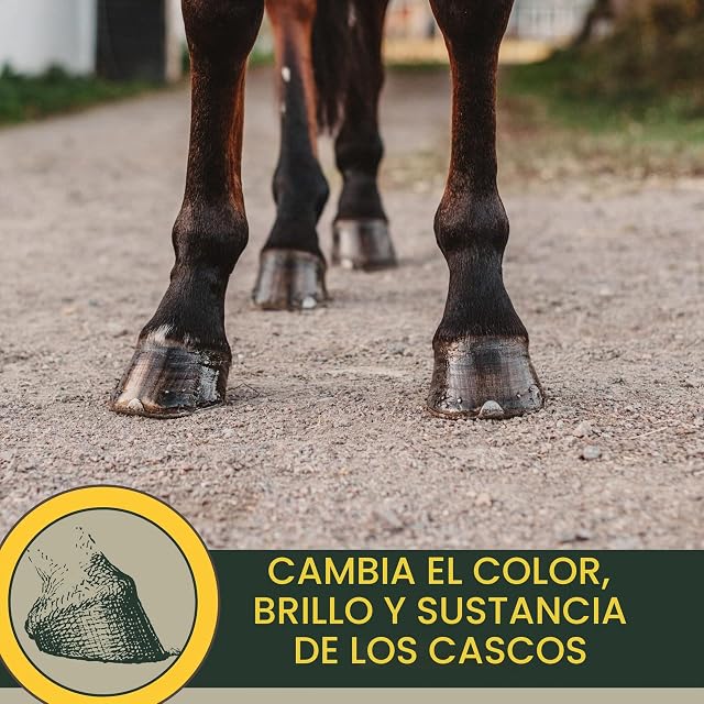 Foto 6 de 8 de Grasa para Cascos de Caballos con Aceite de Laurel 500 ml