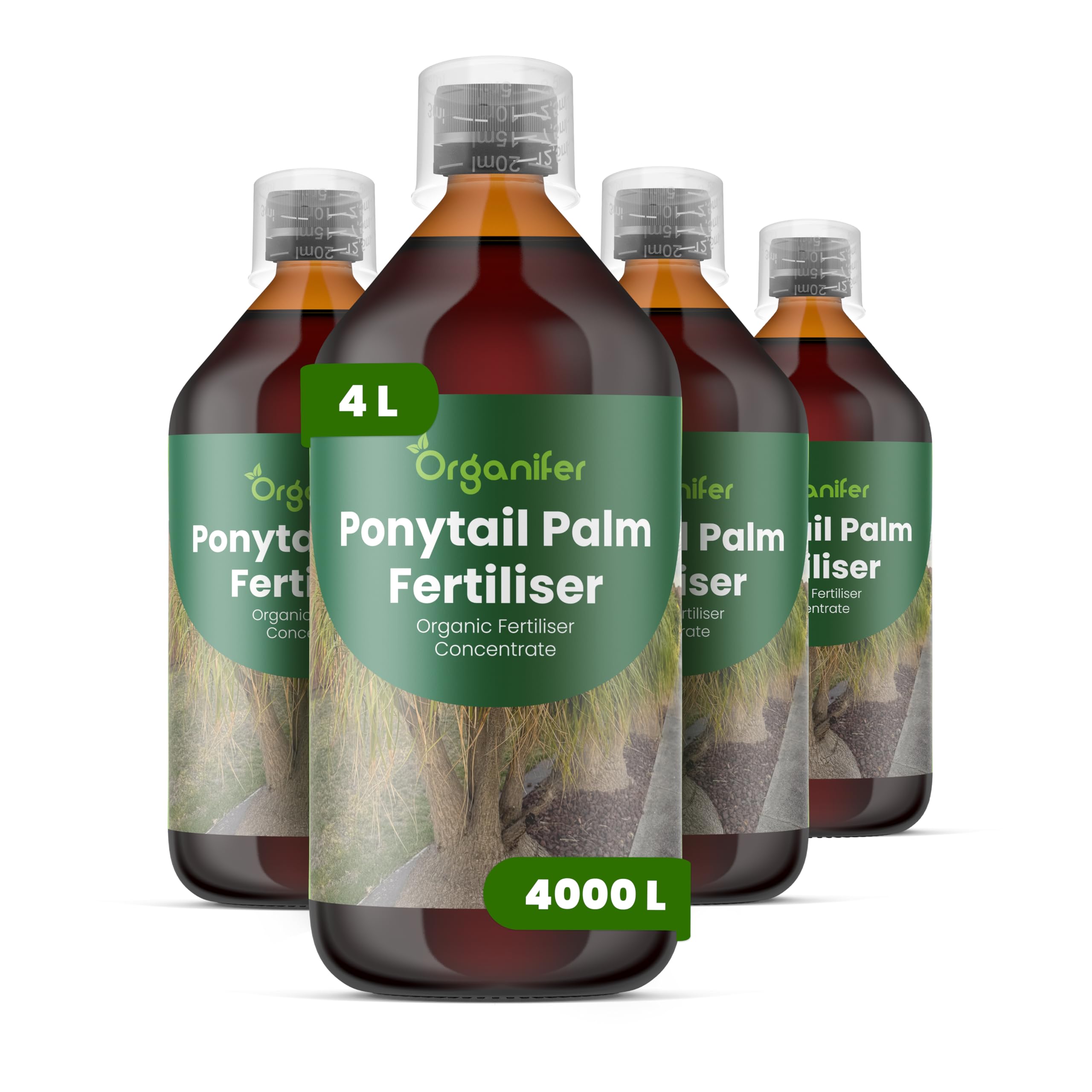Fertilizante Líquido - 4x1L - Para Pie De Elefante - NPK 2-1-8 | Plantas Fuertes Y Crecimiento Óptimo - Organifer