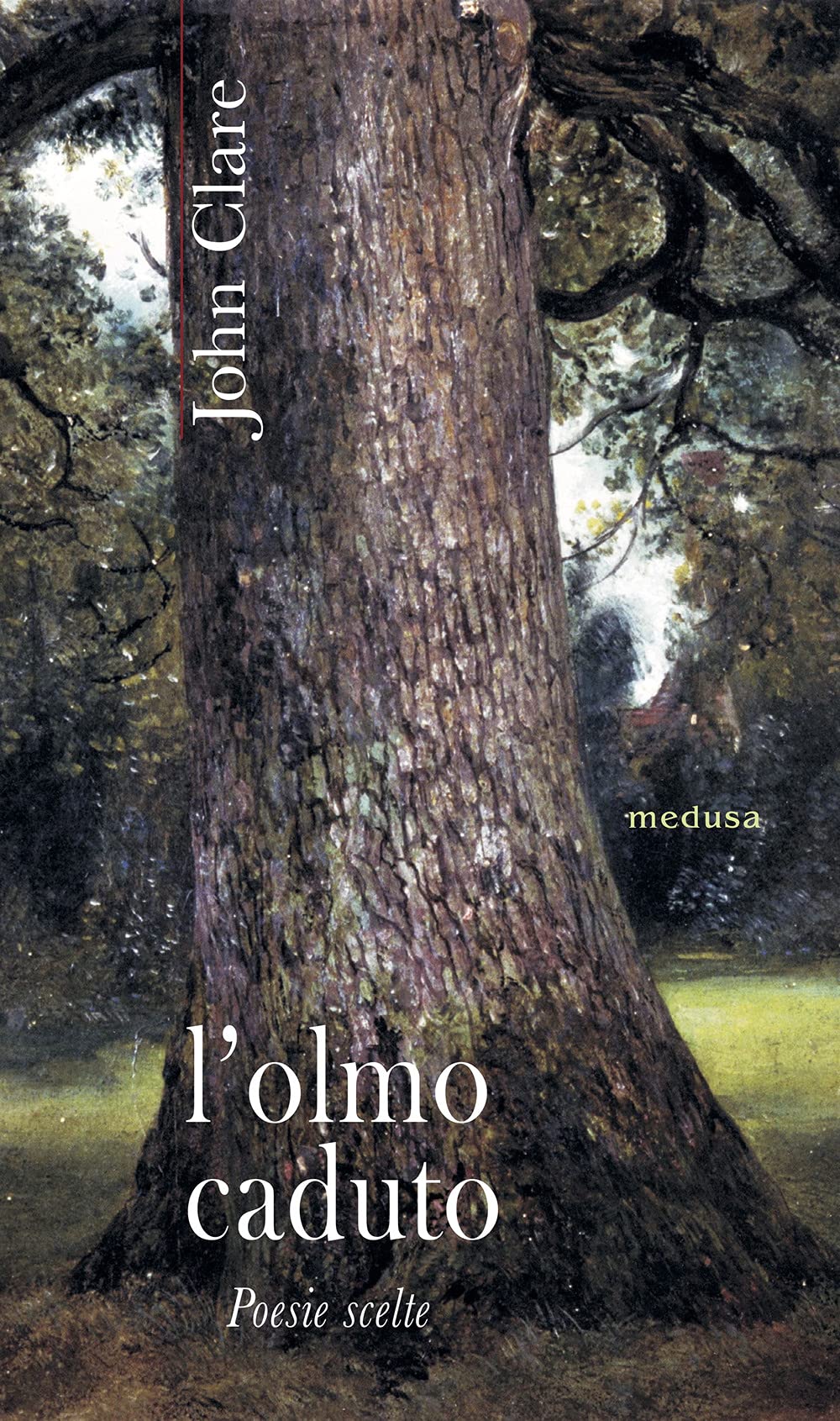 L'olmo Caduto. Poesie Scelte - 4