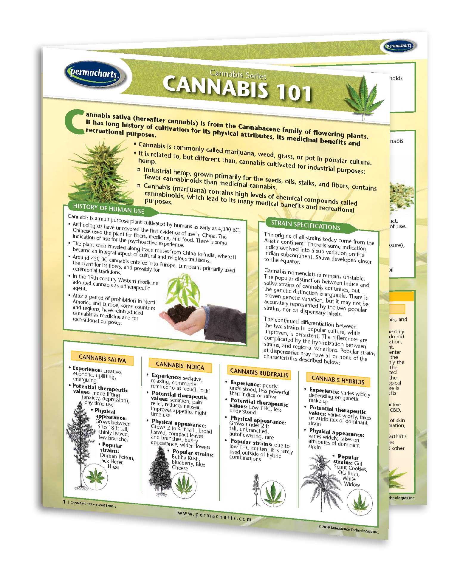 Cannabis 101 - Quick Reference Guide - Cannabis Educational Series by Permacharts