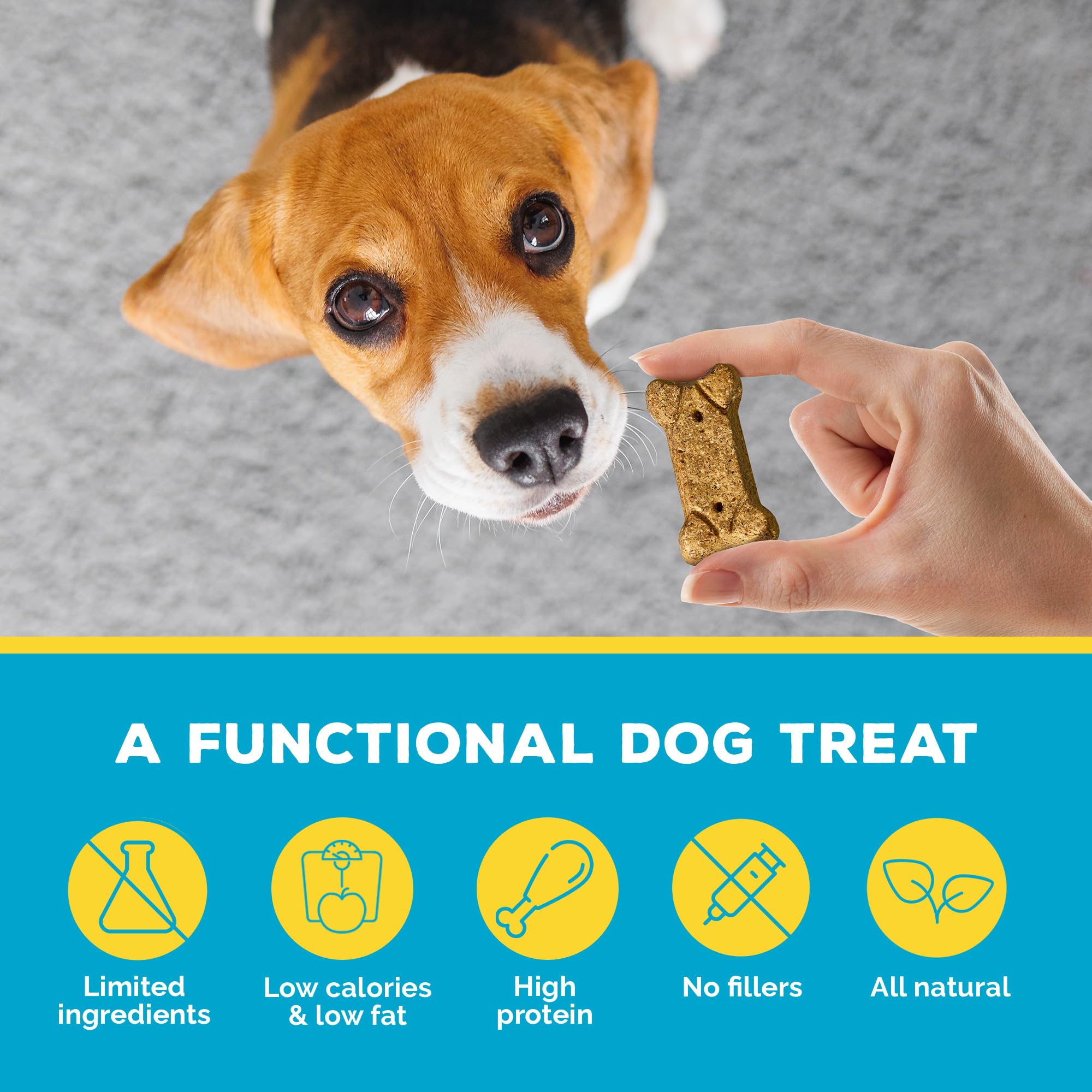Kekse (Rindfleisch) - Gesunde Leckereien für Hunde - Natürliche Hundekekse mit Hundeknochenbrühe und echtem Rindfleisch für gesunde Gelenke - 18 Gramm Protein - 8