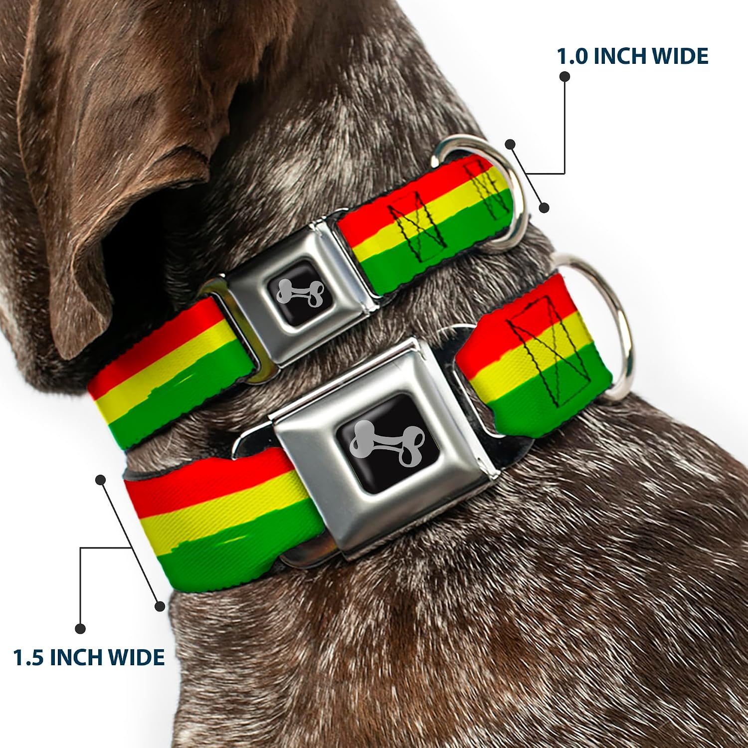 Dog Collar Seatbelt Buckle Rasta Stripes Painted Green Yellow Red 9 to 15 Inches 1.0 Inch Wide image 2