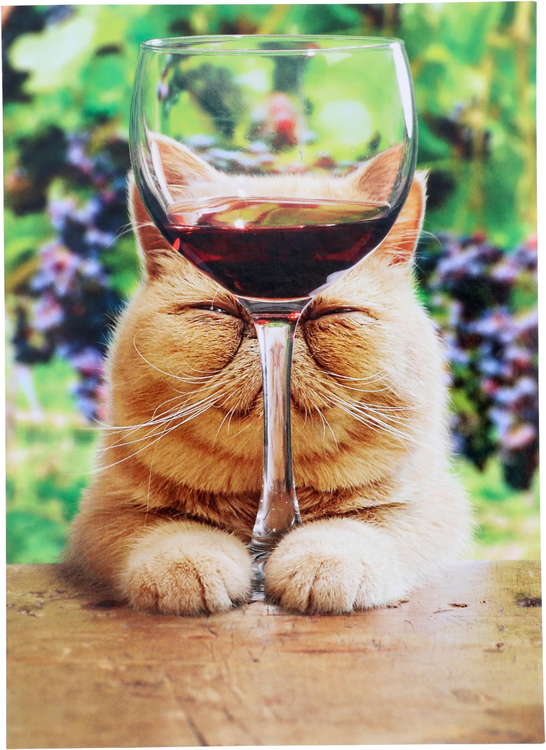 Cat With Glass Of Red Wine - Avanti Funny Birthday Card