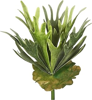 Vickerman Everyday 13